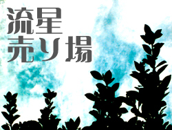 通販ページ